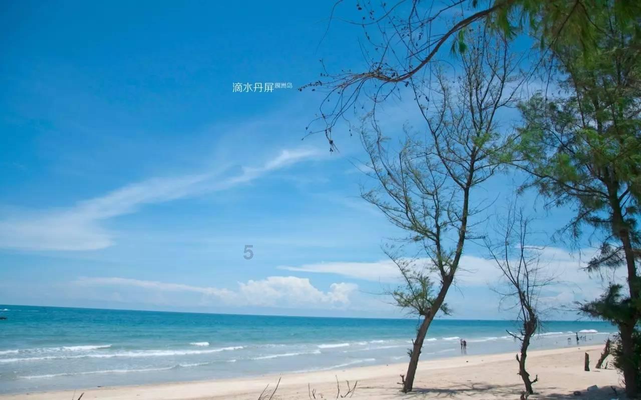 拯救精灵的土地8